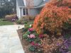 fall-color