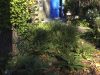 blue-door