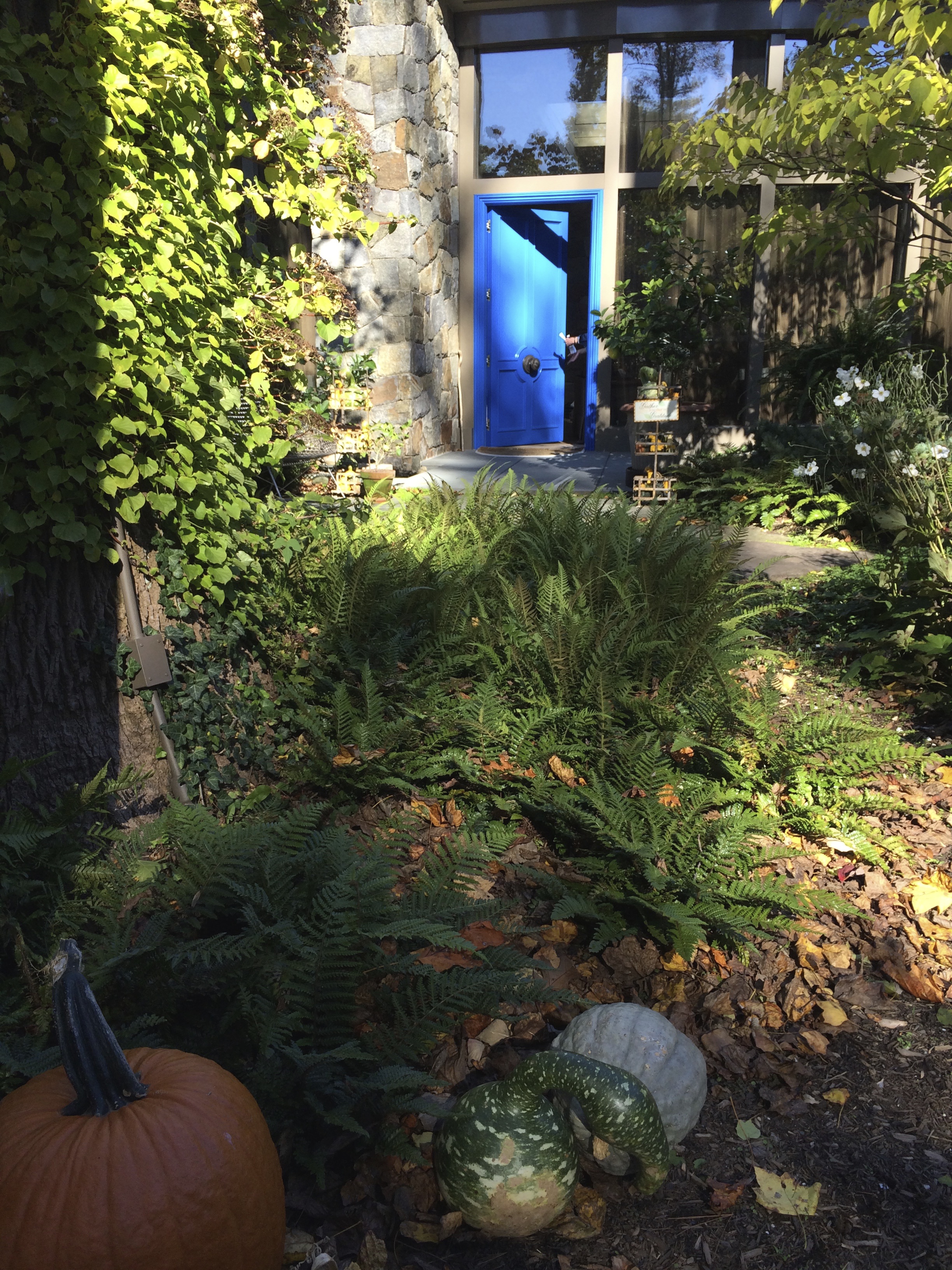 blue-door